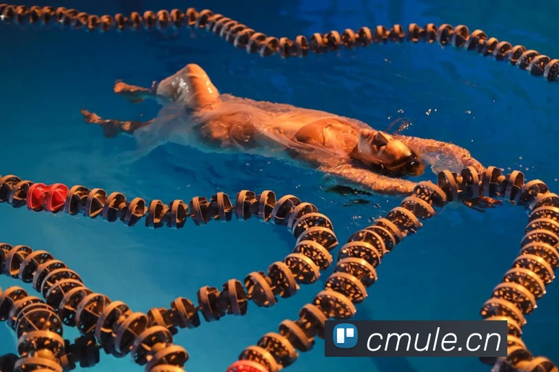 多媒体互动体验