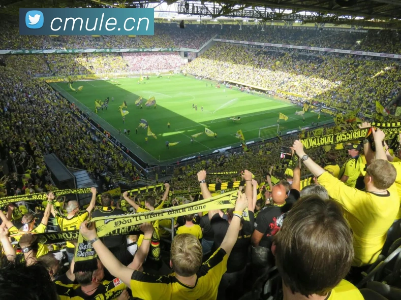 开云手机入口登录官网APP 高清赛事图